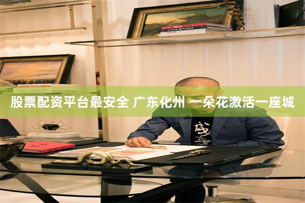 股票配资平台最安全 广东化州 一朵花激活一座城