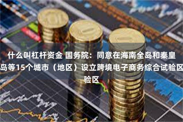 什么叫杠杆资金 国务院：同意在海南全岛和秦皇岛等15个城市（地区）设立跨境电子商务综合试验区
