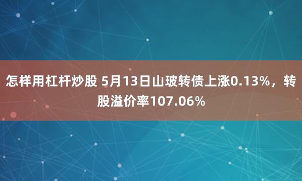 怎样用杠杆炒股 5月13日山玻转债上涨0.13%，转股溢价率107.06%