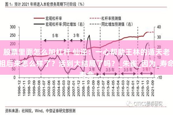 股票里面怎么加杠杆 仙逆：一心帮助王林的遁天老祖后来怎么样了？活到大结局了吗？_朱雀_因为_寿命