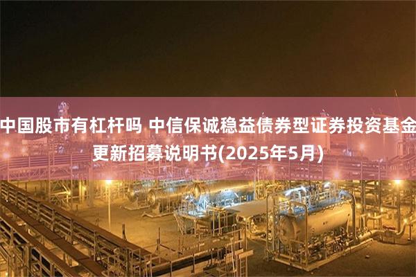 中国股市有杠杆吗 中信保诚稳益债券型证券投资基金更新招募说明书(2025年5月)