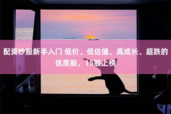 配资炒股新手入门 低价、低估值、高成长、超跌的优质股，15股上榜