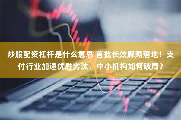 炒股配资杠杆是什么意思 首批长效牌照落地！支付行业加速优胜劣汰，中小机构如何破局？