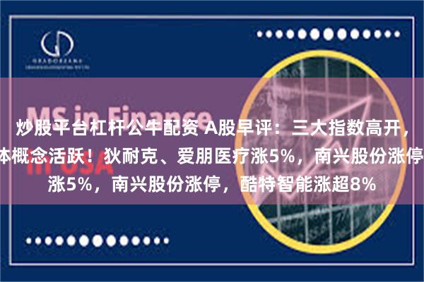 炒股平台杠杆公牛配资 A股早评：三大指数高开，脑机接口、AI智能体概念活跃！狄耐克、爱朋医疗涨5%，南兴股份涨停，酷特智能涨超8%