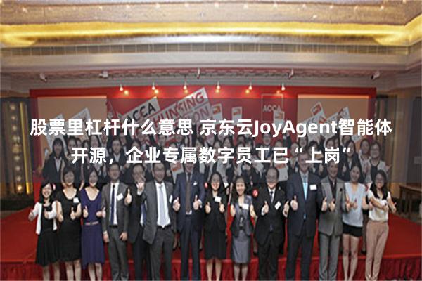 股票里杠杆什么意思 京东云JoyAgent智能体开源，企业专属数字员工已“上岗”