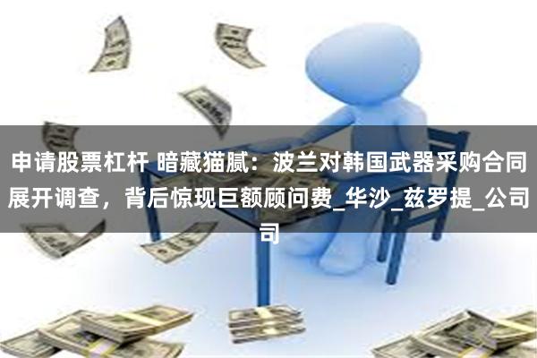 申请股票杠杆 暗藏猫腻：波兰对韩国武器采购合同展开调查，背后惊现巨额顾问费_华沙_兹罗提_公司