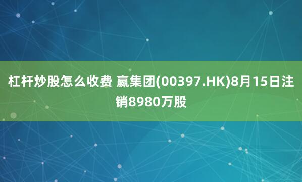 杠杆炒股怎么收费 嬴集团(00397.HK)8月15日注销8980万股