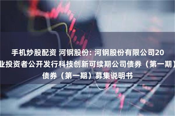 手机炒股配资 河钢股份: 河钢股份有限公司2025年面向专业投资者公开发行科技创新可续期公司债券（第一期）募集说明书